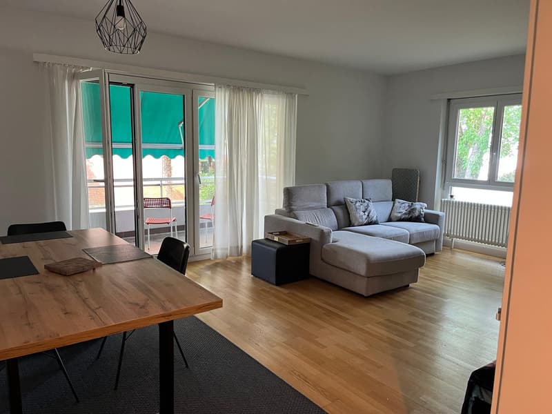 Massagno – Ampio 3.5 locali rinnovato con piscina condominiale (1)