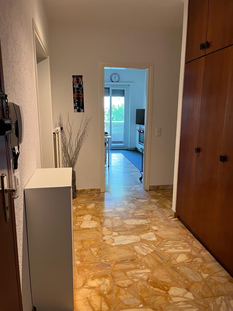 Massagno – Ampio 3.5 locali rinnovato con piscina condominiale (6)