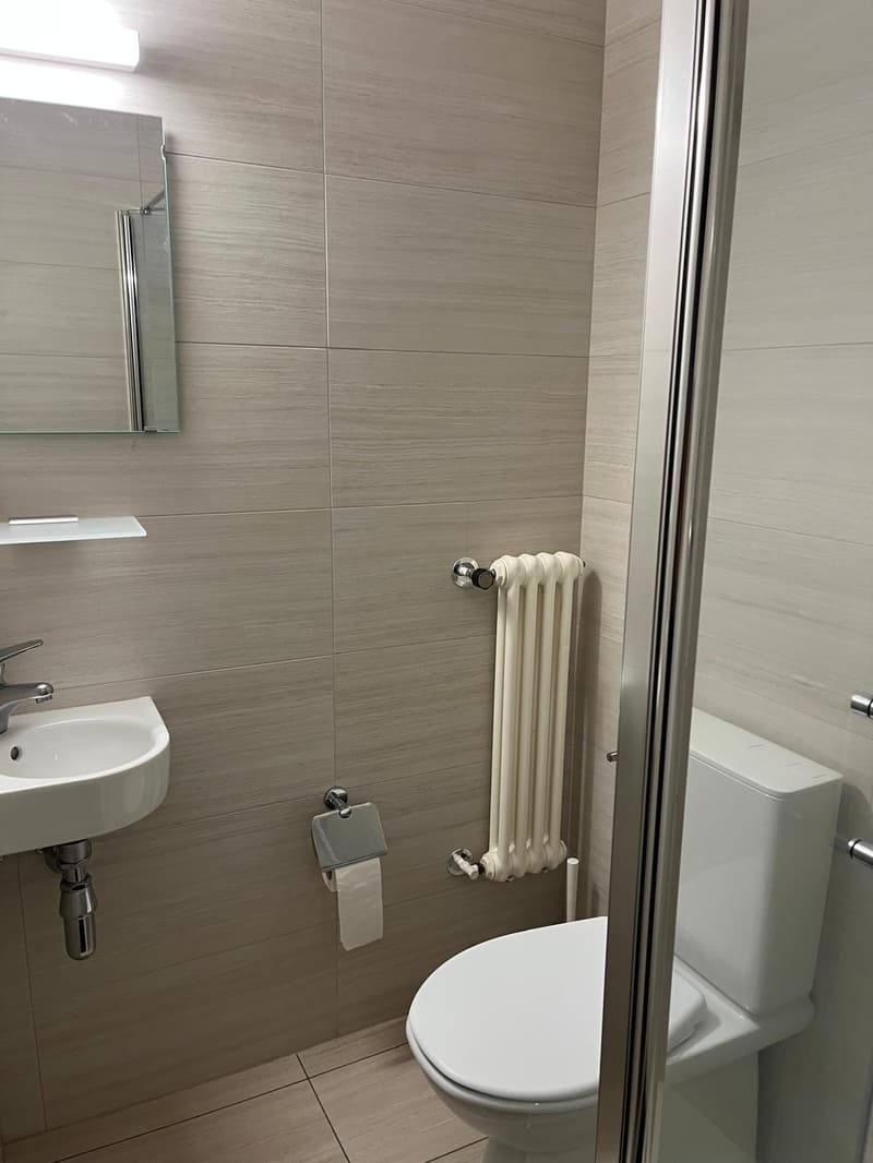 Massagno – Ampio 3.5 locali rinnovato con piscina condominiale (12)