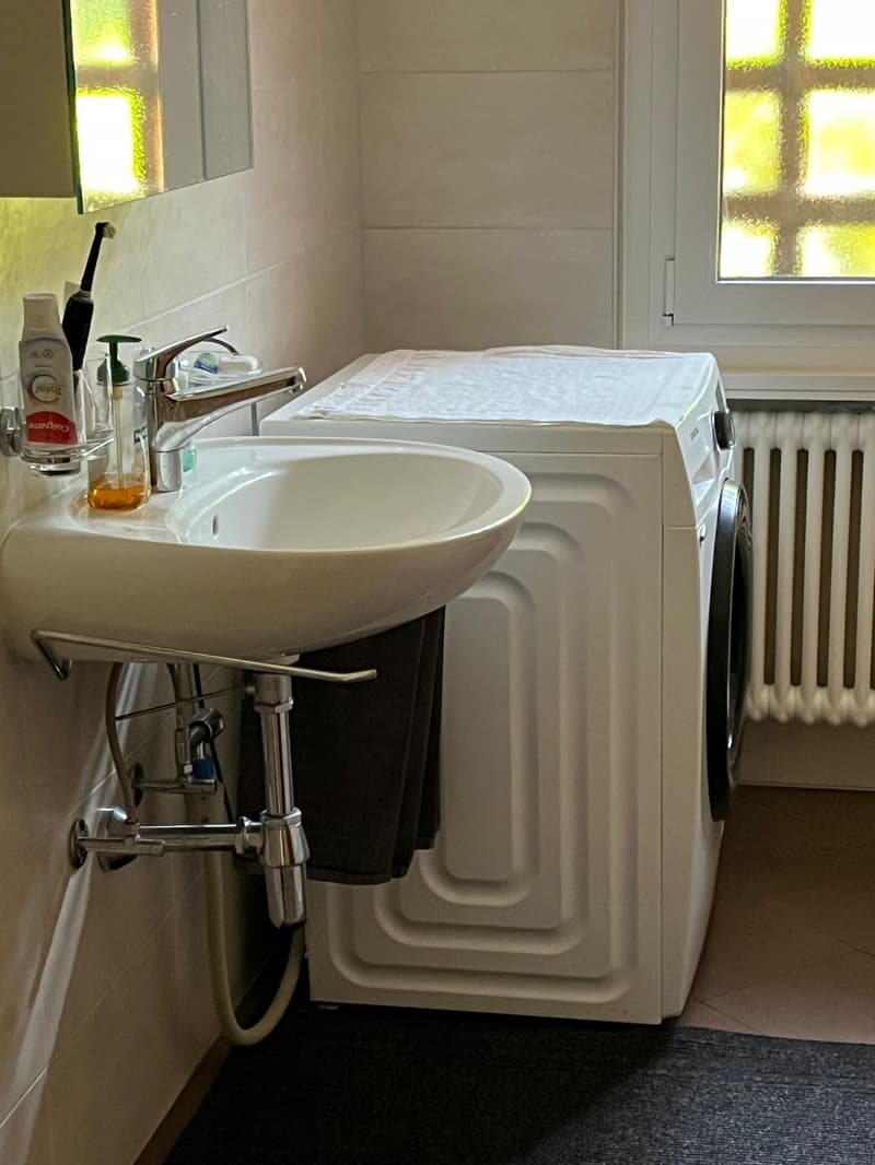 Massagno – Ampio 3.5 locali rinnovato con piscina condominiale (11)