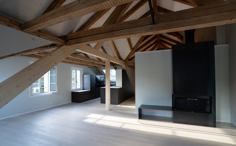 Modern 3 ½ room attic apartment in prime location in Brunnen SZ (3)