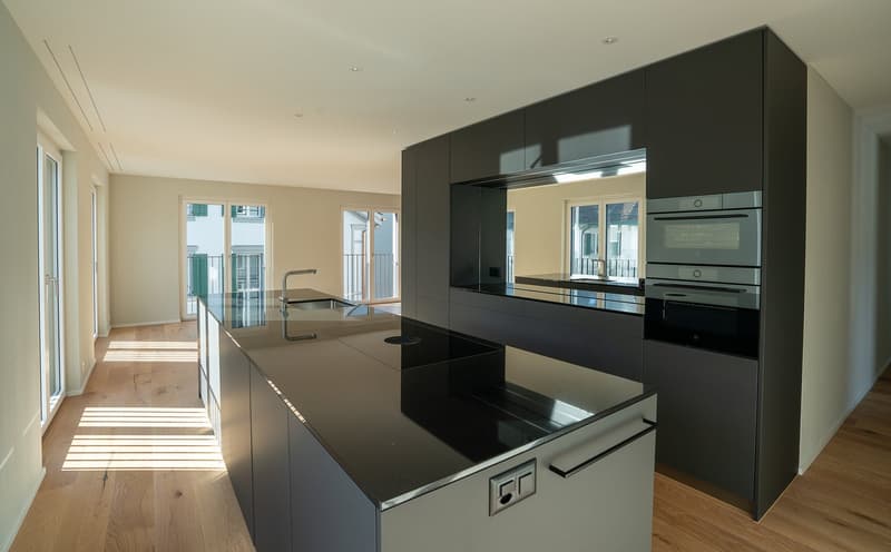 4 ½ room apartment in prime location in Brunnen SZ (5)