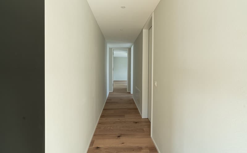 4 ½ room apartment in prime location in Brunnen SZ (6)