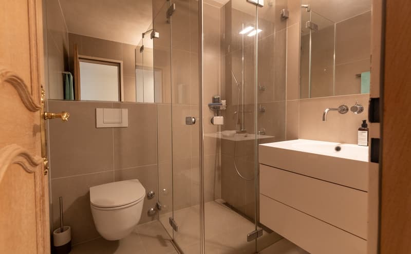 7 ½ Room Duplex Attic Apartment with House Character in Lucerne (12)