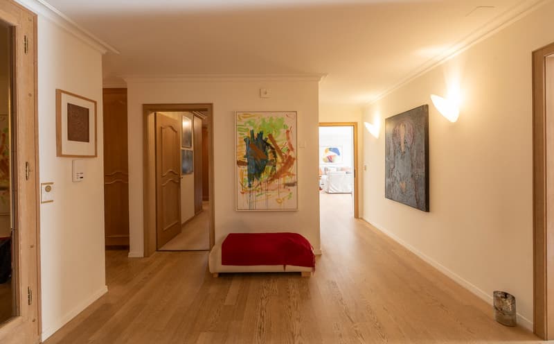7 ½ Room Duplex Attic Apartment with House Character in Lucerne (2)