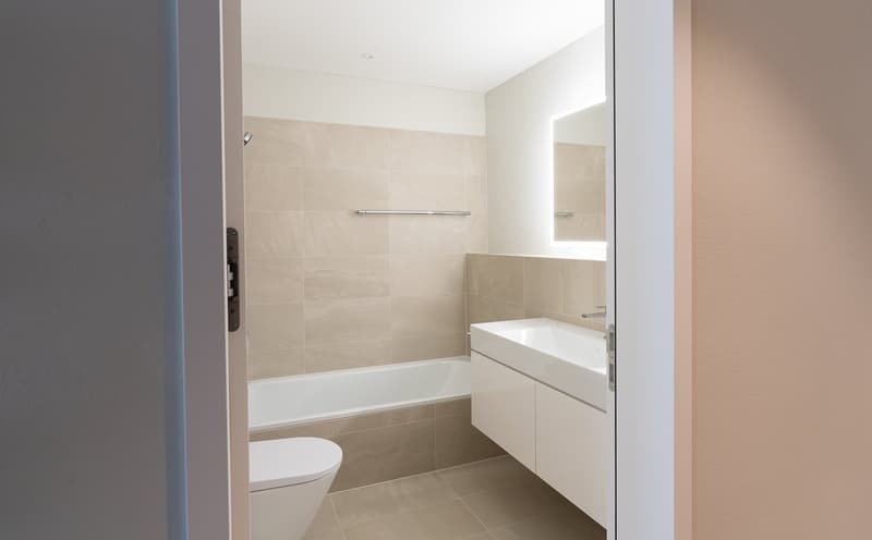 Appartement neuf de 4,5 pièces inondé de lumière avec grande terrasse dans le Rosengarten Brunnen (10)