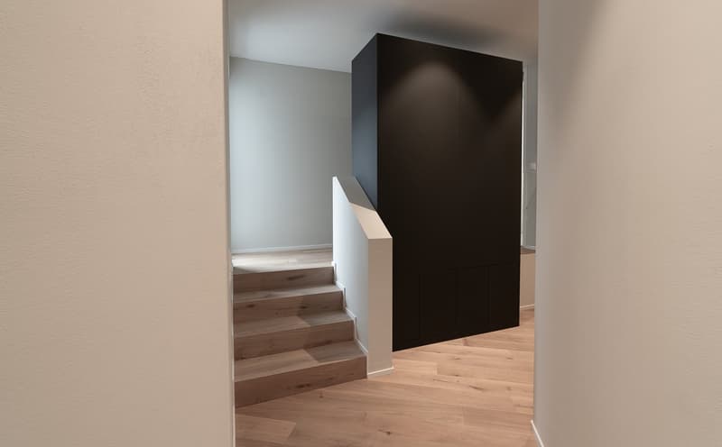Appartement neuf de 4,5 pièces inondé de lumière avec grande terrasse dans le Rosengarten Brunnen (4)