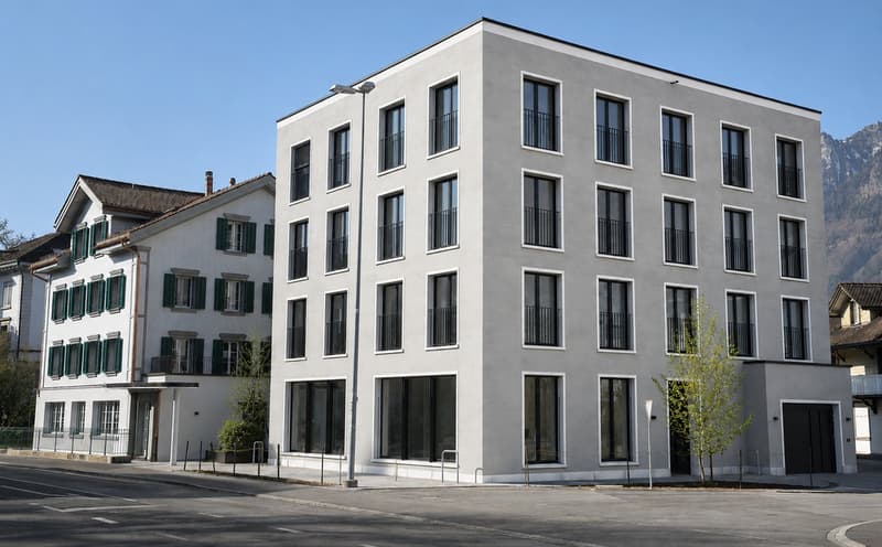 Appartement neuf de 4,5 pièces inondé de lumière avec grande terrasse dans le Rosengarten Brunnen (2)