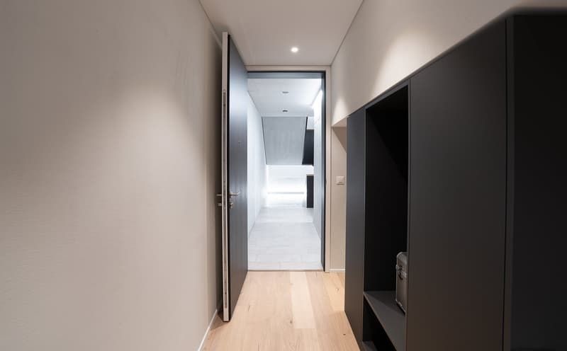 Appartement neuf de 4,5 pièces inondé de lumière avec grande terrasse dans le Rosengarten Brunnen (3)