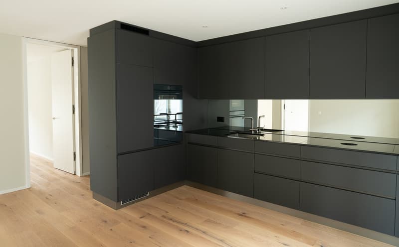 Appartement neuf de 4,5 pièces inondé de lumière avec grande terrasse dans le Rosengarten Brunnen (5)