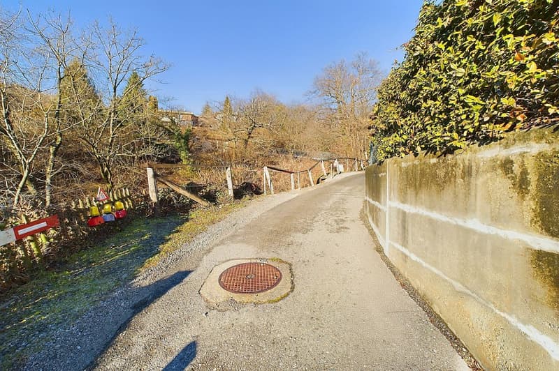 Terreno edificabile a Cademario con vista aperta (2)
