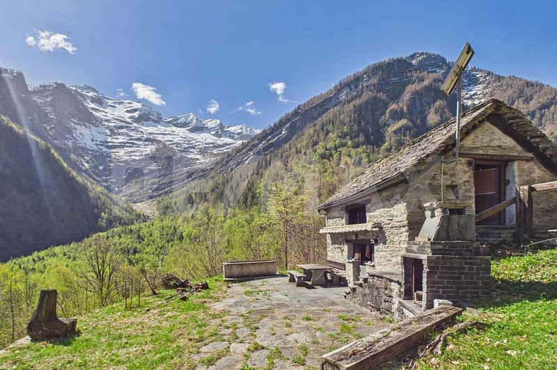 Piccolo rustico immerso nella natura a Campo Vallemaggia (1)
