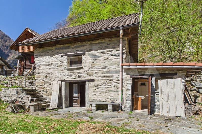 Un rustico autentico per vivere la Valle Maggia (1)