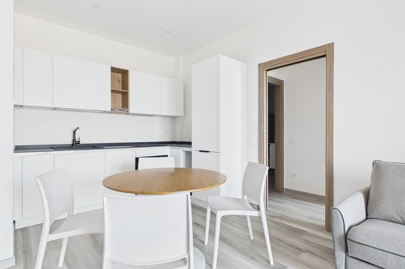Investimento immobiliare - appartamento di 3 ½ locali ottimo rendimento (Italia) (1)