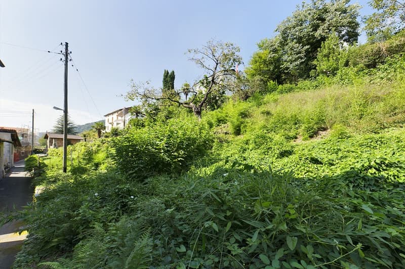 Terreno edificabile ideale per chi cerca la tranquillità (2)