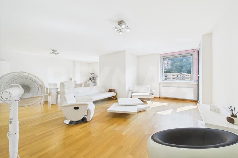 Lugano Cassarate Elegante 3 ½ locali ristrutturato a pochi passi dal lago (1)