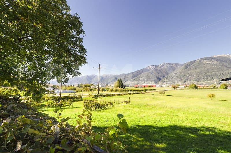Casa unifamiliare rustica tra i vigneti e la montagna (2)