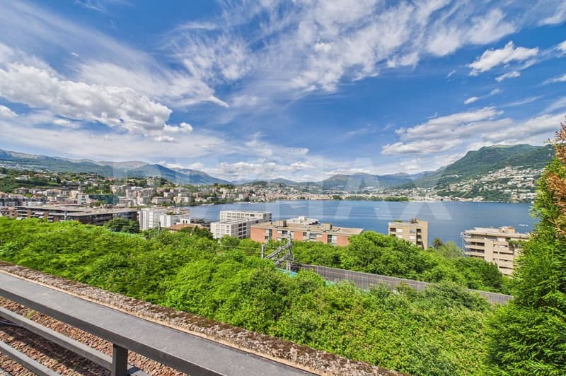 Vista mozzafiato sul golfo di Lugano  elegante appartamento con terrazza (2)
