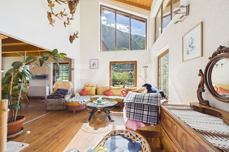 Moderna casa unifamiliare con sauna privata e bel giardino (1)