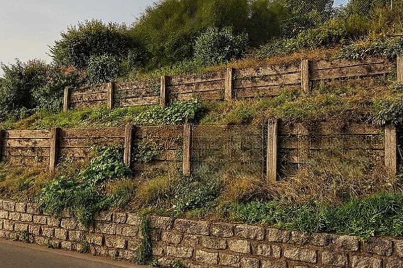Terreno edificabile a Lopagno ideale per la vostra casa unifamiliare (2)