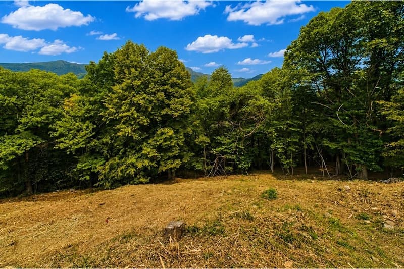 Terreno edificabile ad Aranno (30 min. da Lugano) (2)