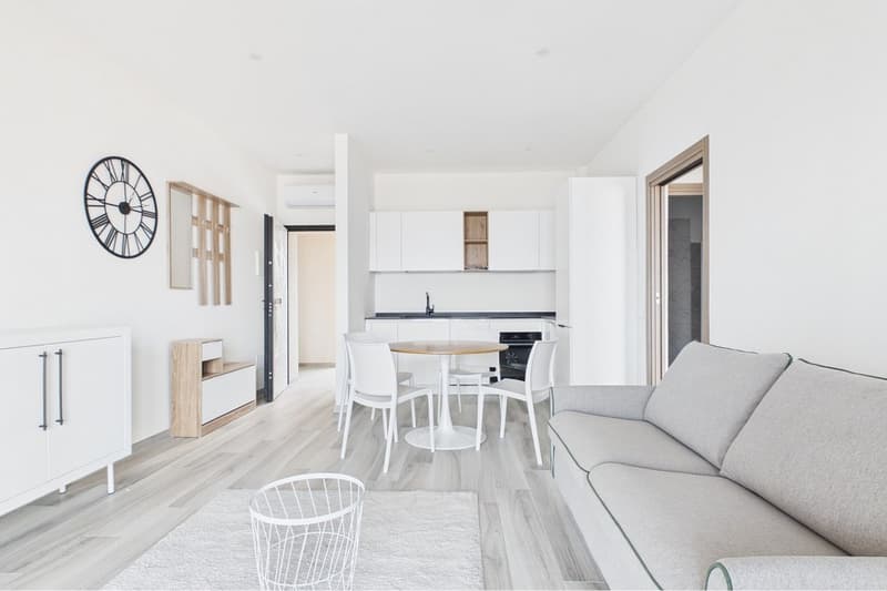 Investimento immobiliare - appartamento di 3 ½ locali ottimo rendimento (Italia) (2)