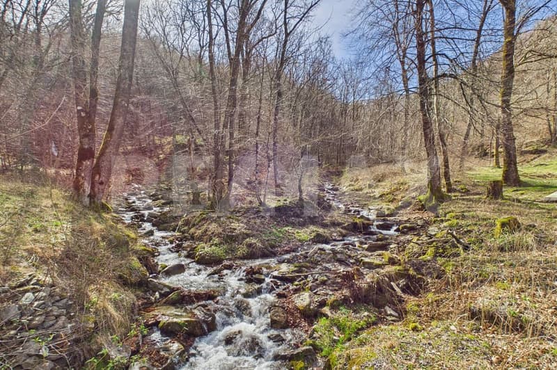 Natura autentica, silenzio e spazio da vivere (2)