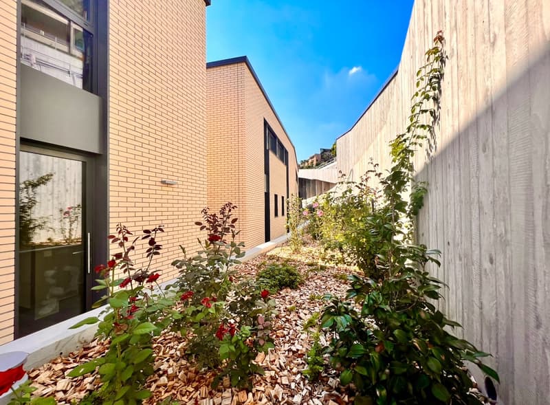 Brick building, wooden fence, garden with plants and flowers, mulch covering the ground