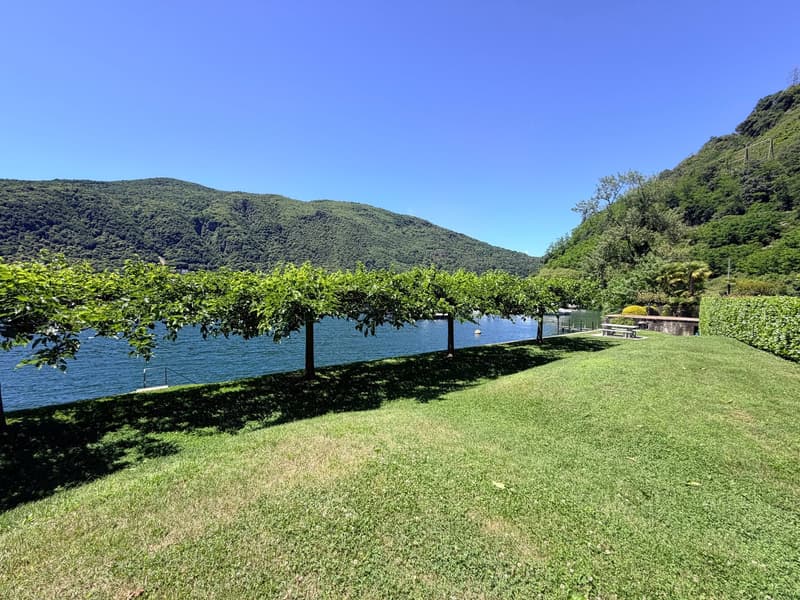 3788 ZWEITWOHNSITZ  WUNDERSCHÖNES EINZIMMERWOHN. MIT SEEBLICK, TERRASSE UND GARTEN (8)