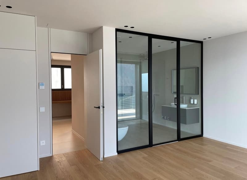 VILLA or DUPLEX APARTMENT CHARMING LAKE VIEW (24)