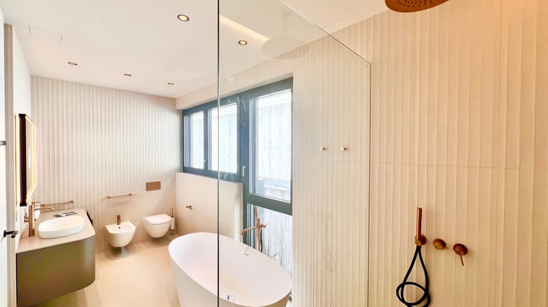 VILLA or DUPLEX APARTMENT CHARMING LAKE VIEW (23)