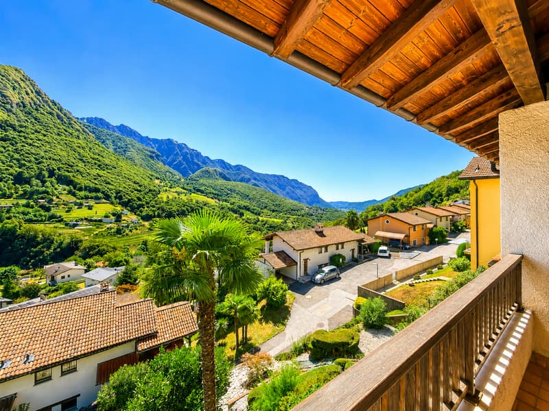 UN ANGOLO PANORAMICO NEL CUORE DEL TICINO (18)