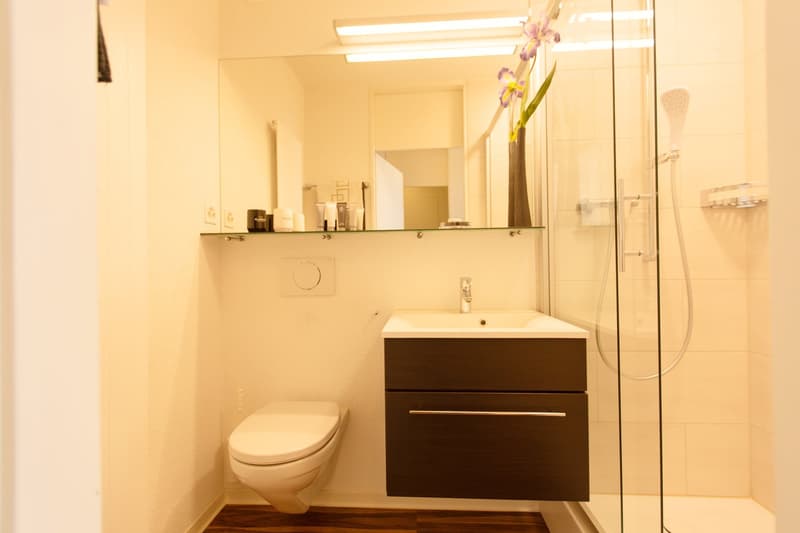 Bathroom with a vanity cabinet, sink, toilet, and a glass shower enclosure. There is a shelf above the vanity and a potted plant decoration.