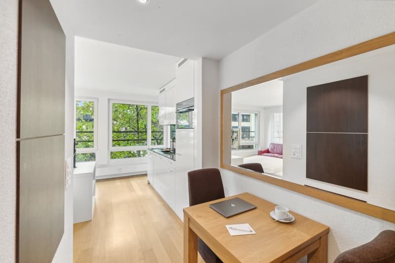 Möblierte 1-Zimmer-Wohnung mit Service - Stadtzentrum Basel (8)