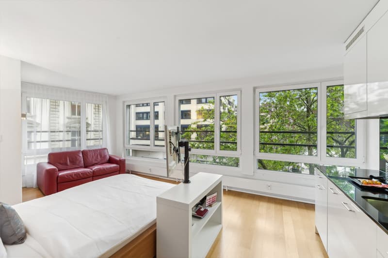 Möblierte 1-Zimmer-Wohnung mit Service - Stadtzentrum Basel (2)