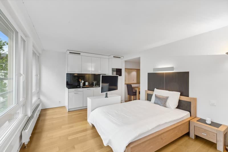 Möblierte 1-Zimmer-Wohnung mit Service - Stadtzentrum Basel (3)