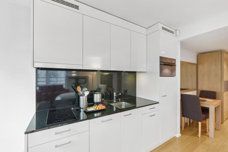 Möblierte 1-Zimmer-Wohnung mit Service - Stadtzentrum Basel (6)