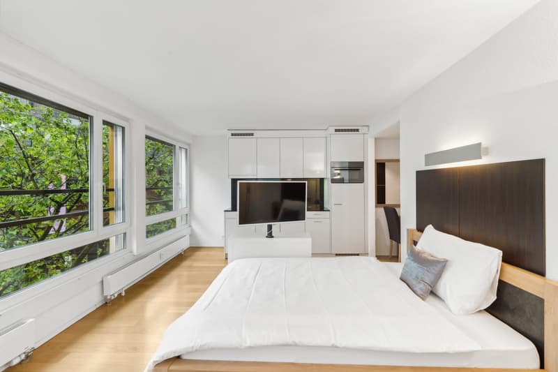 Möblierte 1-Zimmer-Wohnung mit Service - Stadtzentrum Basel (1)