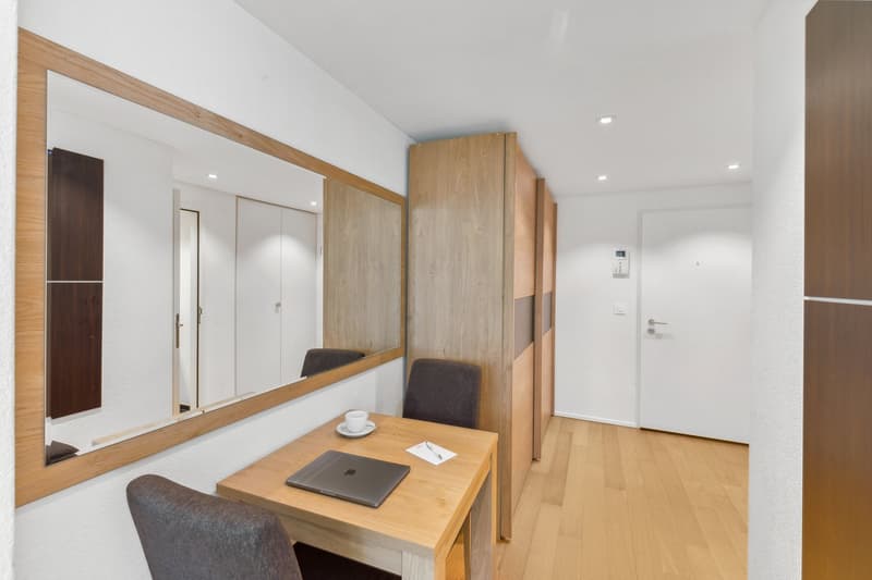 Möblierte 1-Zimmer-Wohnung mit Service - Stadtzentrum Basel (7)
