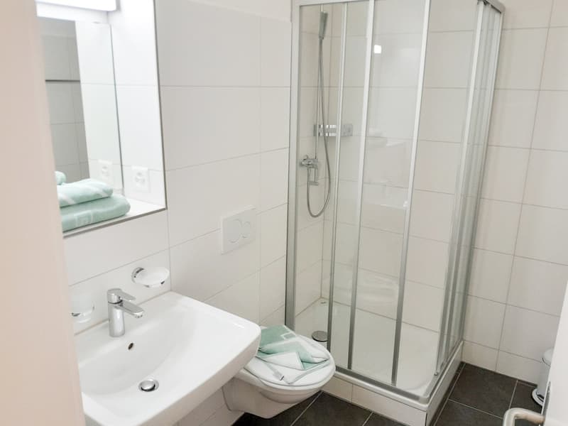 Möblierte 2.5-Zimmer-Wohnung mit Service - Stadtzentrum / Downtown Basel (5)