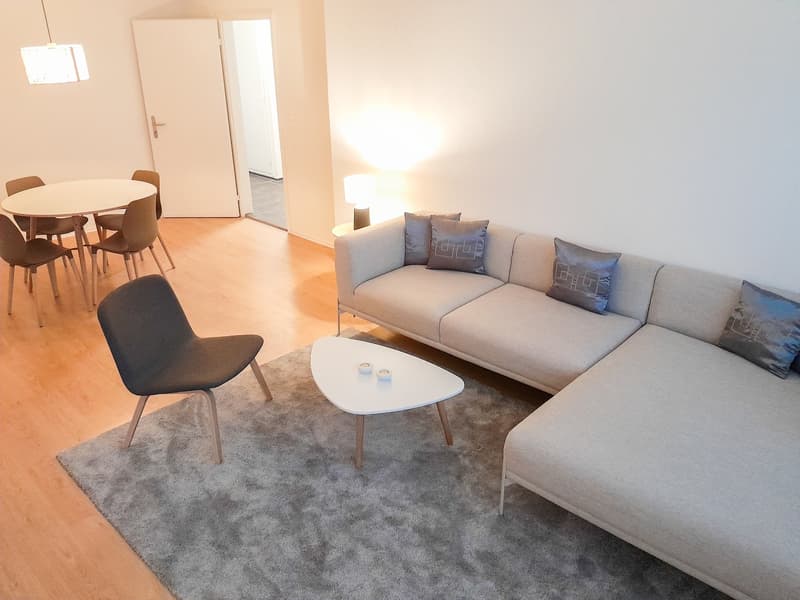 Wohnzimmer / Living Room