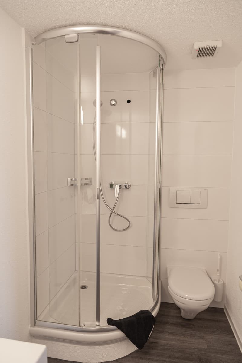 The image shows a bathroom with a curved glass shower enclosure, a toilet, and a tiled floor. The bathroom appears to be clean and modern in design.