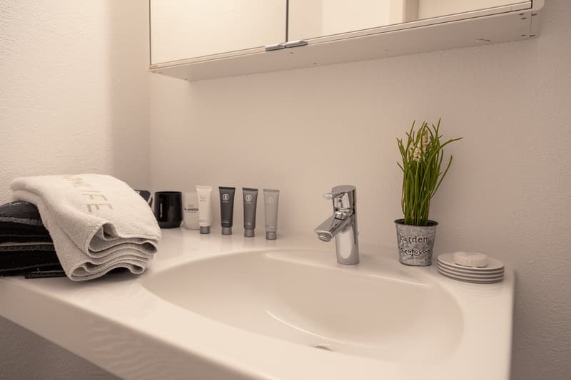 Badezimmer / Bathroom