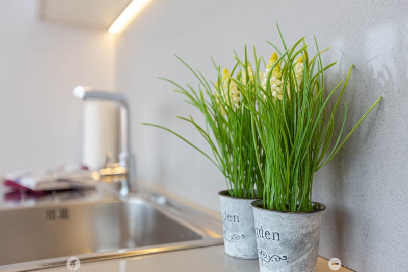 Stainless steel sink, potted plants with yellow flowers, kitchen appliances
