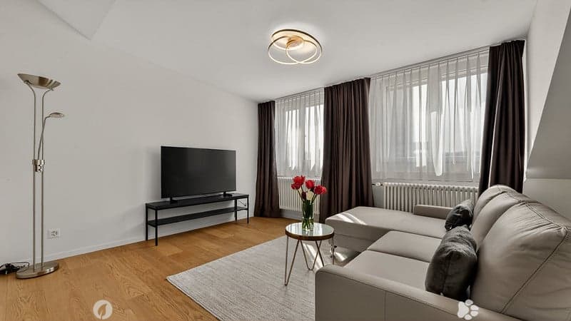 Eklusive möblierte 2.5-Zimmer Attika Wohnung mit Service und Terrasse in Biel (7)