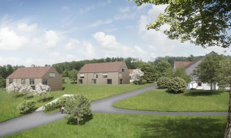 three houses on green area, concrete pathway