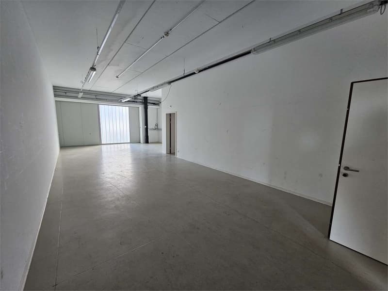 Sant'Antonino, 250 sqm office for rent + adjacent warehouses (10)