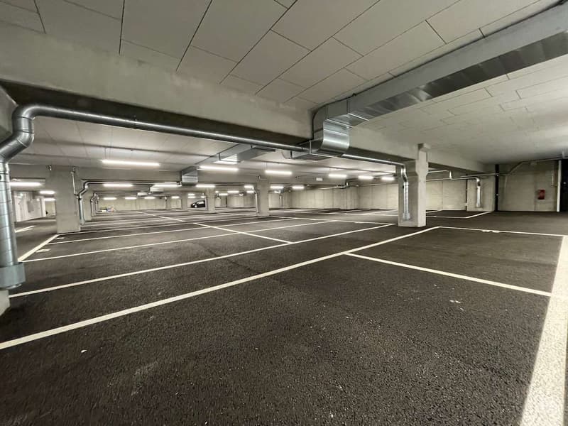 Espaces modernes dans nouvel entrepôt (9)