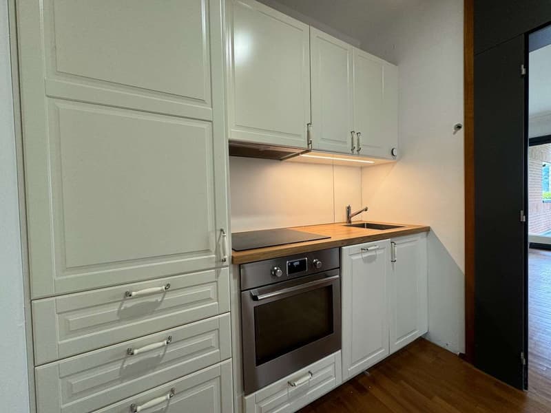 Appartement particulier avec jardin (5)