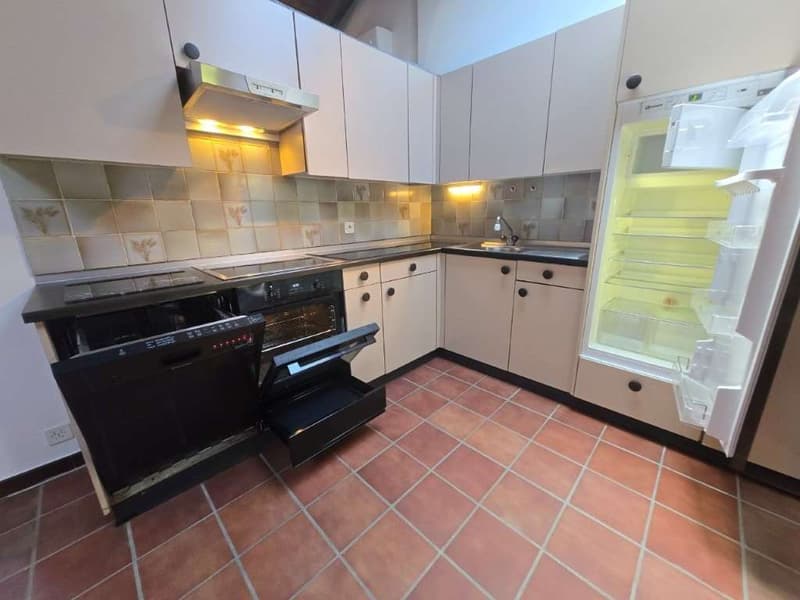 Agno, location duplex 5 pièces avec terrasses (8)